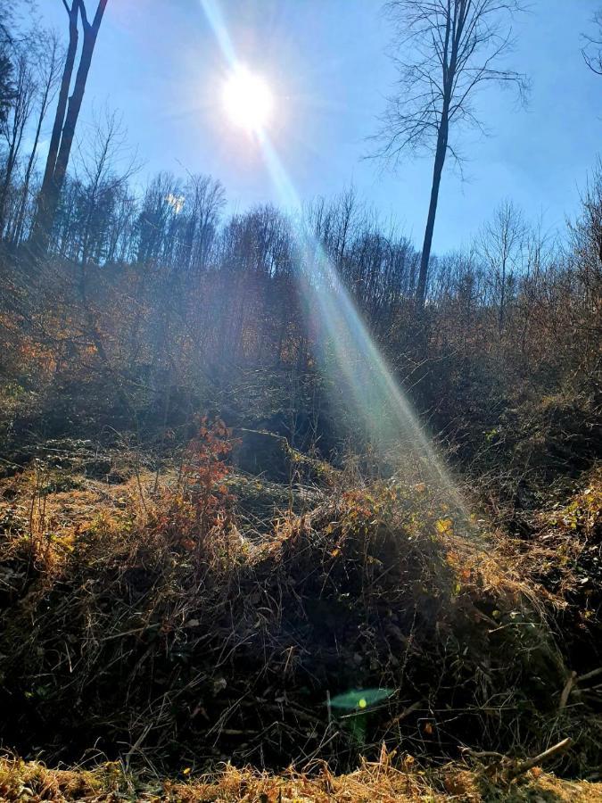 Horska Chata V Srdci Kremnickych Hor Banska Bystrica Bagian luar foto