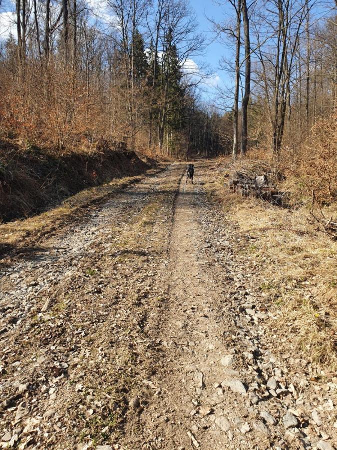 Horska Chata V Srdci Kremnickych Hor Banska Bystrica Bagian luar foto